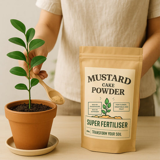 Mustard Cake Powder