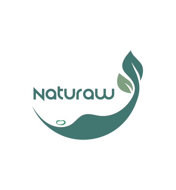 whatsapp-account-image